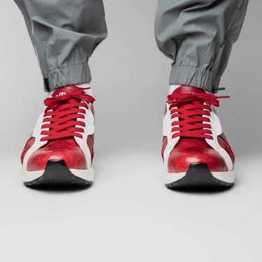 Lyon In Red / White