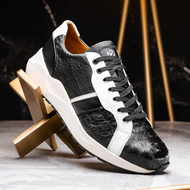 Lyon In Black / White