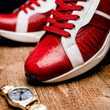 Lyon In Red / White