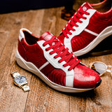 Lyon In Red / White