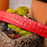 Riccardo In Light Red