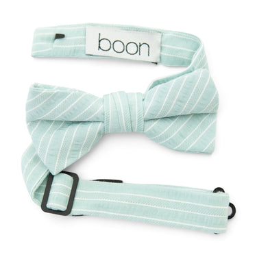 Mint Stripe - Boys Bow TIe