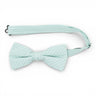 Mint Stripe - Men's Pre-tied Bow Tie