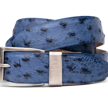 Domenico In Antique Navy