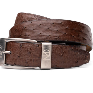 Domenico In Brown