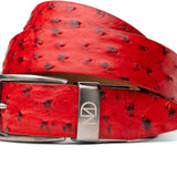 Domenico In Red