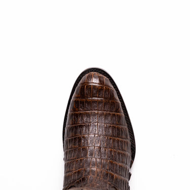 Phoenix In Aged Brown