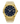 Paul Rich US Frosted Star Dust II Gold Watch