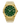 Paul Rich US Frosted Star Dust II Gold Green Watch in Automatic