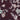 Sangria Floral - Men's Pre-tied Bow Tie