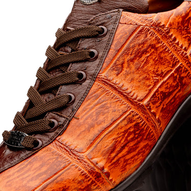 Saulo In Brandy / Brown