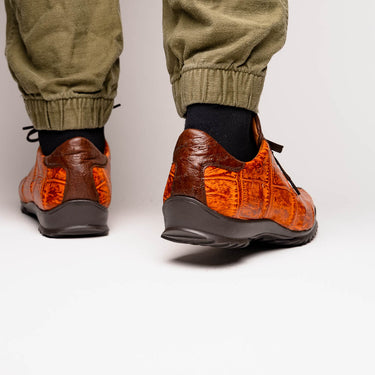 Saulo In Brandy / Brown