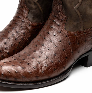 Savannah In Kango Tabac
