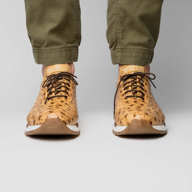 Scanno In Antique Orix