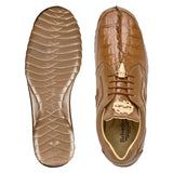 Belvedere Vasco in Saddle