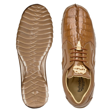 Belvedere Vasco in Saddle