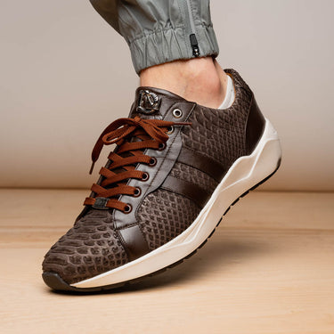 Verona In Brown