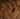 Calvere Furs genuine fox fur, whiskey, close detail