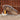 DapperFam King in Mustard / Tweed / Dark Brown Men's Sartorial & Croco Embossed Leather Belgian Sneaker