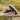DapperFam Riccardo in Jeans Men's Sartorial Top Sider