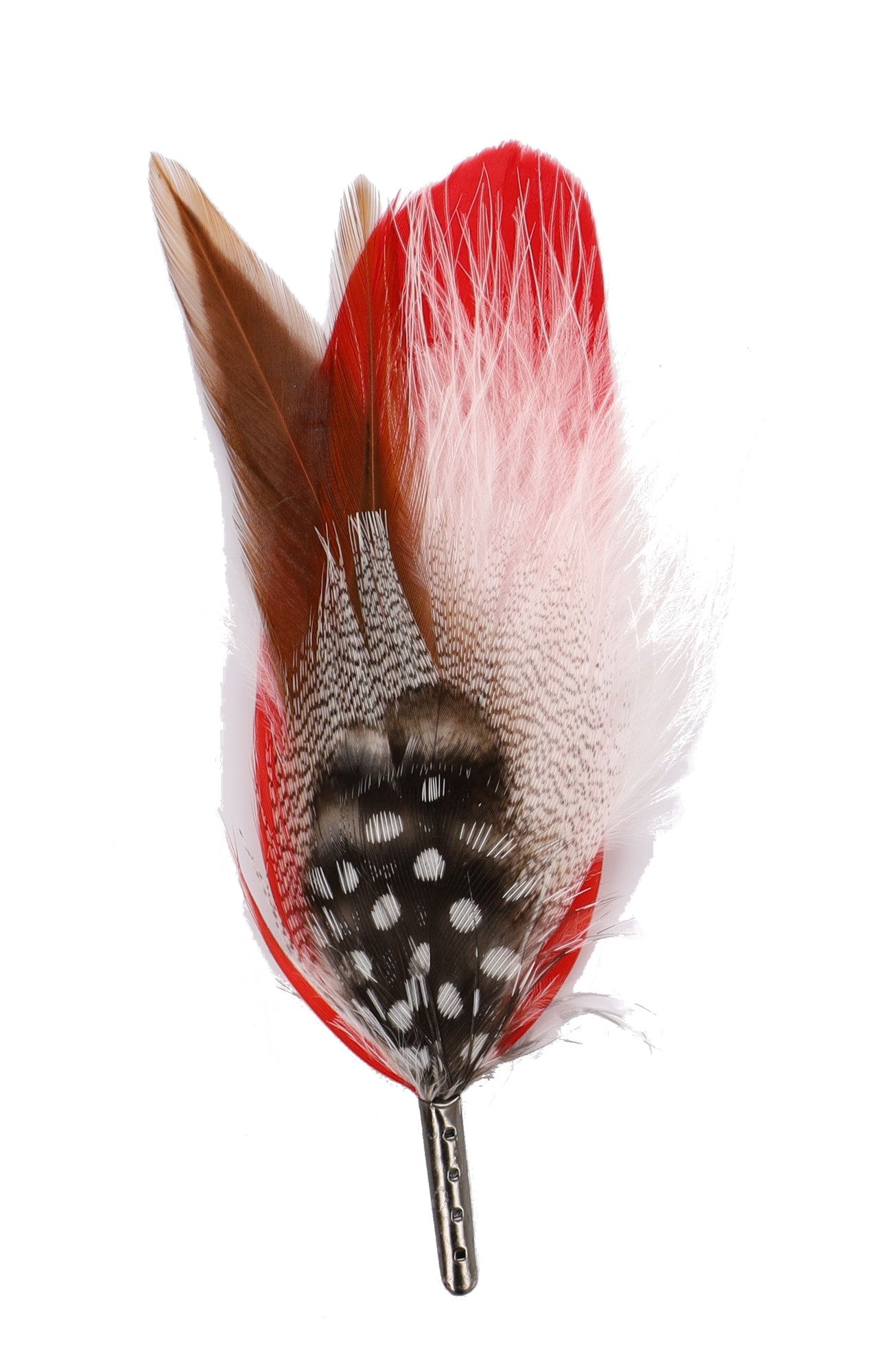 DapperFam Red / Brown / White 5 in Guinea & Poultry Hat Feather in Black Tip