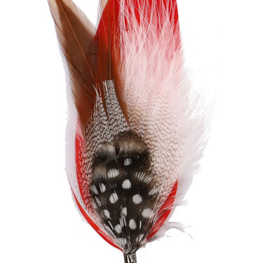 DapperFam Red / Brown / White 5 in Guinea & Poultry Hat Feather in Black Tip
