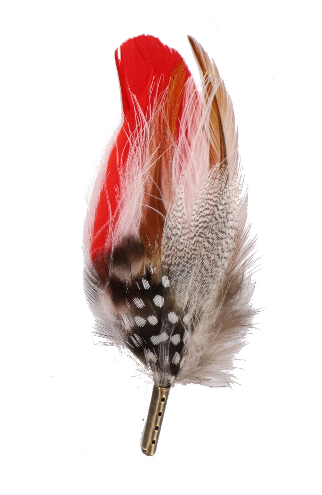 DapperFam Red / Brown / White 5 in Guinea & Poultry Hat Feather in Bronze Tip