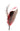 DapperFam Cuckoo Red 4 1/4 in Mallard & Guinea Hat Feather Black Tip