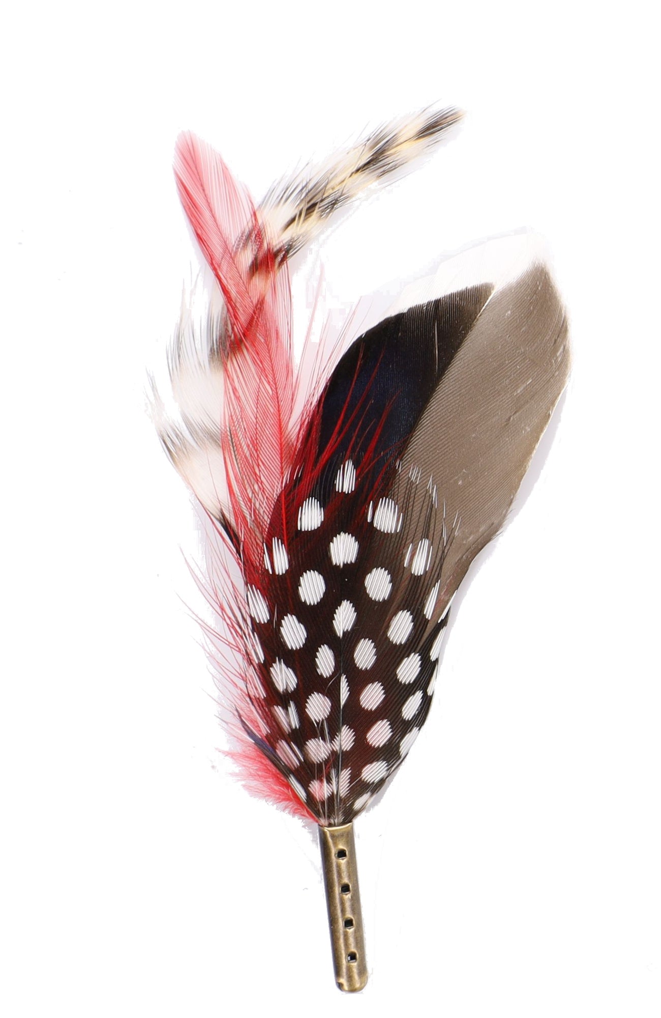 DapperFam Cuckoo Red 4 1/4 in Mallard & Guinea Hat Feather Bronze Tip