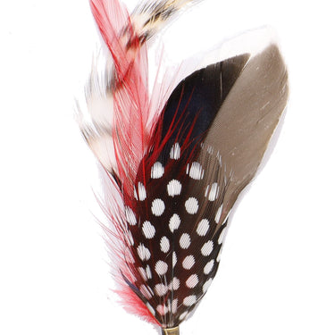 DapperFam Cuckoo Red 4 1/4 in Mallard & Guinea Hat Feather in Bronze Tip
