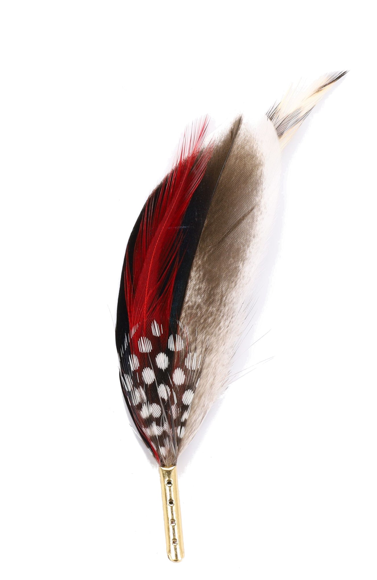 DapperFam Cuckoo Red 4 1/4 in Mallard & Guinea Hat Feather Gold Tip