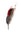 DapperFam Cuckoo Red 4 1/4 in Mallard & Guinea Hat Feather in Silver Tip
