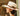 Stetson Tallahassee Wide Brim Shantung Straw Fedora in #color_